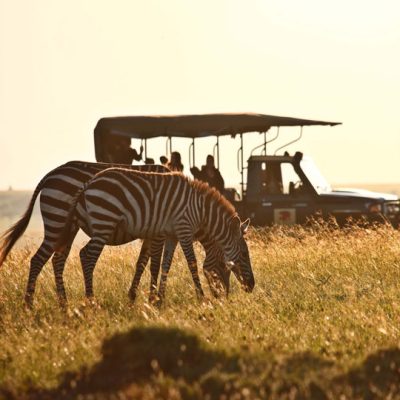 Short Safaris in nairobi by ace car rental services